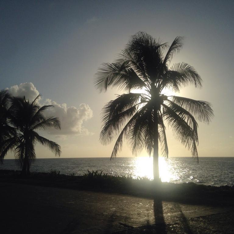 Sarie Bay