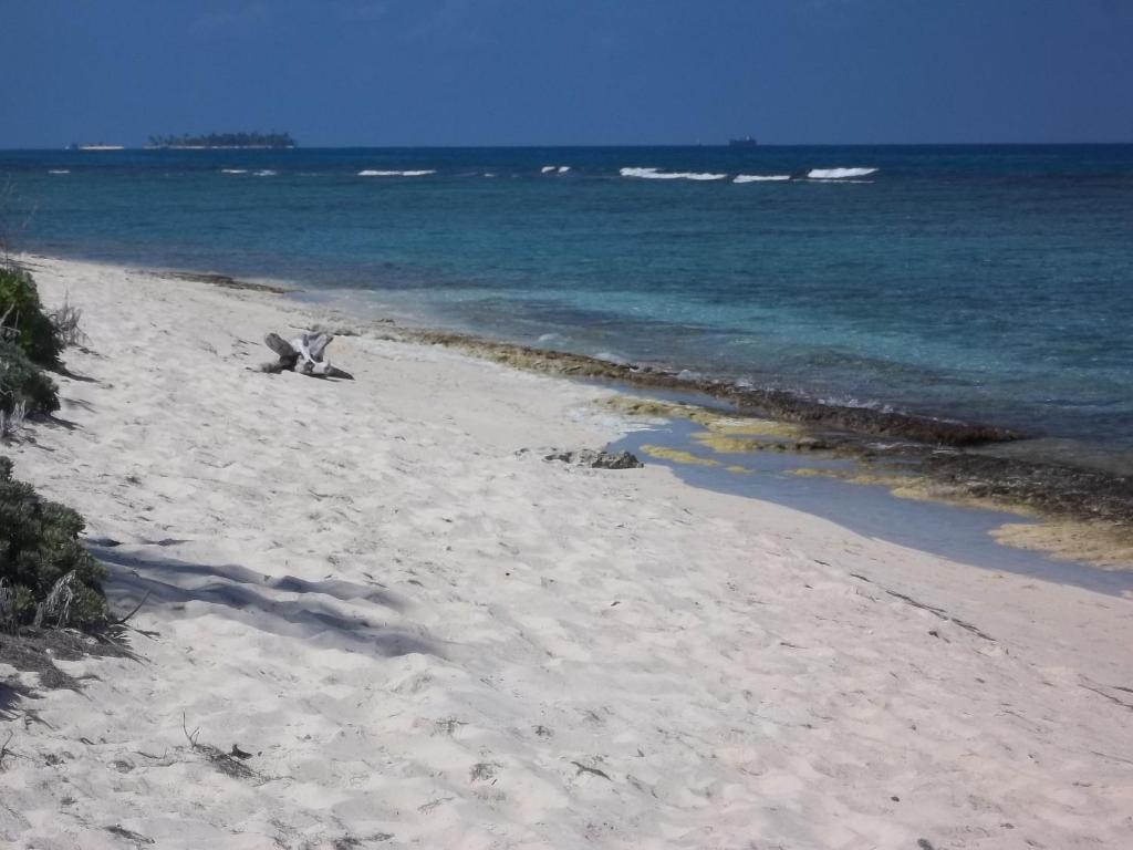 Apartamento Sandy's Place San Andrés