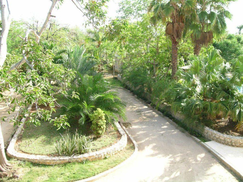 Casa Palmas Boutique Hotel 4*