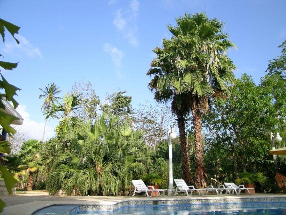 Casa Palmas Boutique Hotel 4*