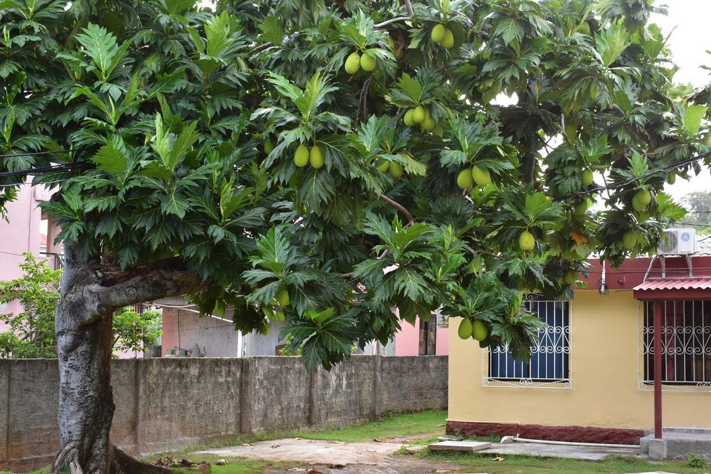 Apartamento James
