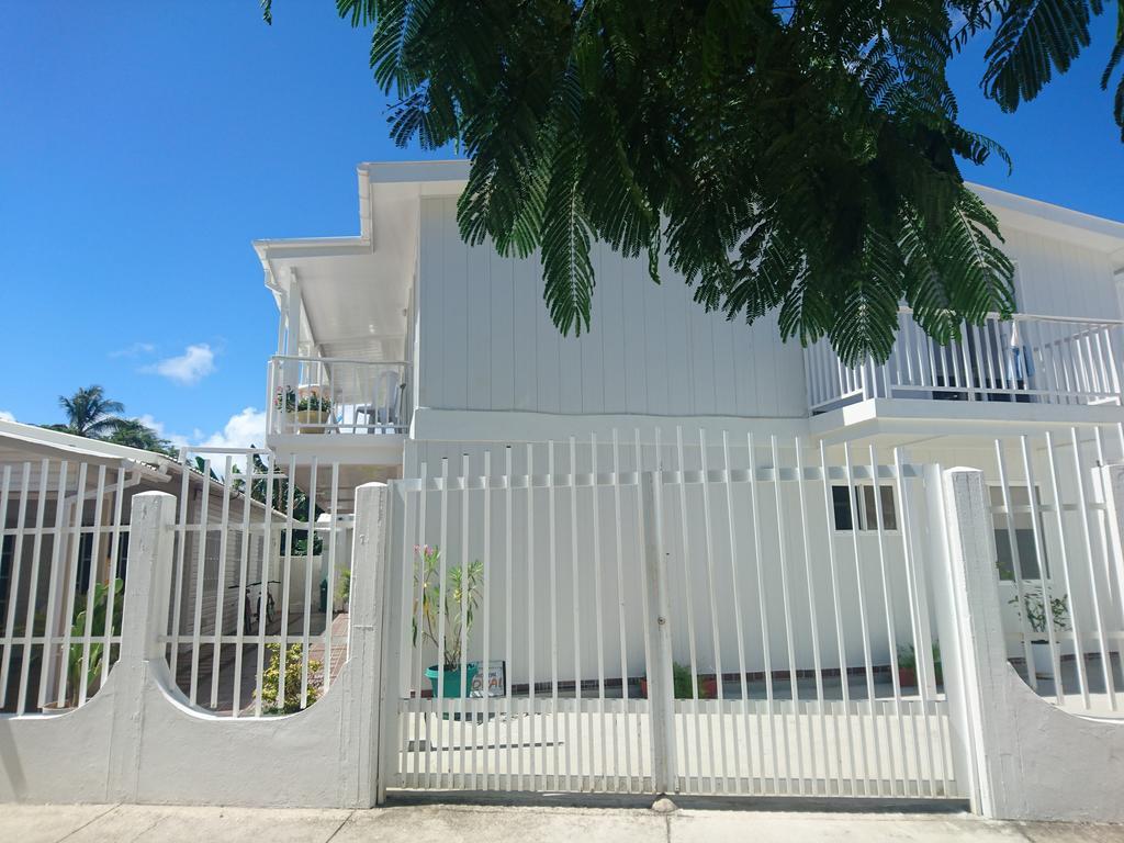 Tropical Coral San Andrés
