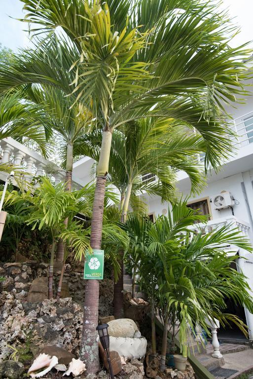 Bed and breakfast The Rock House Eco (adults Only) San Andrés