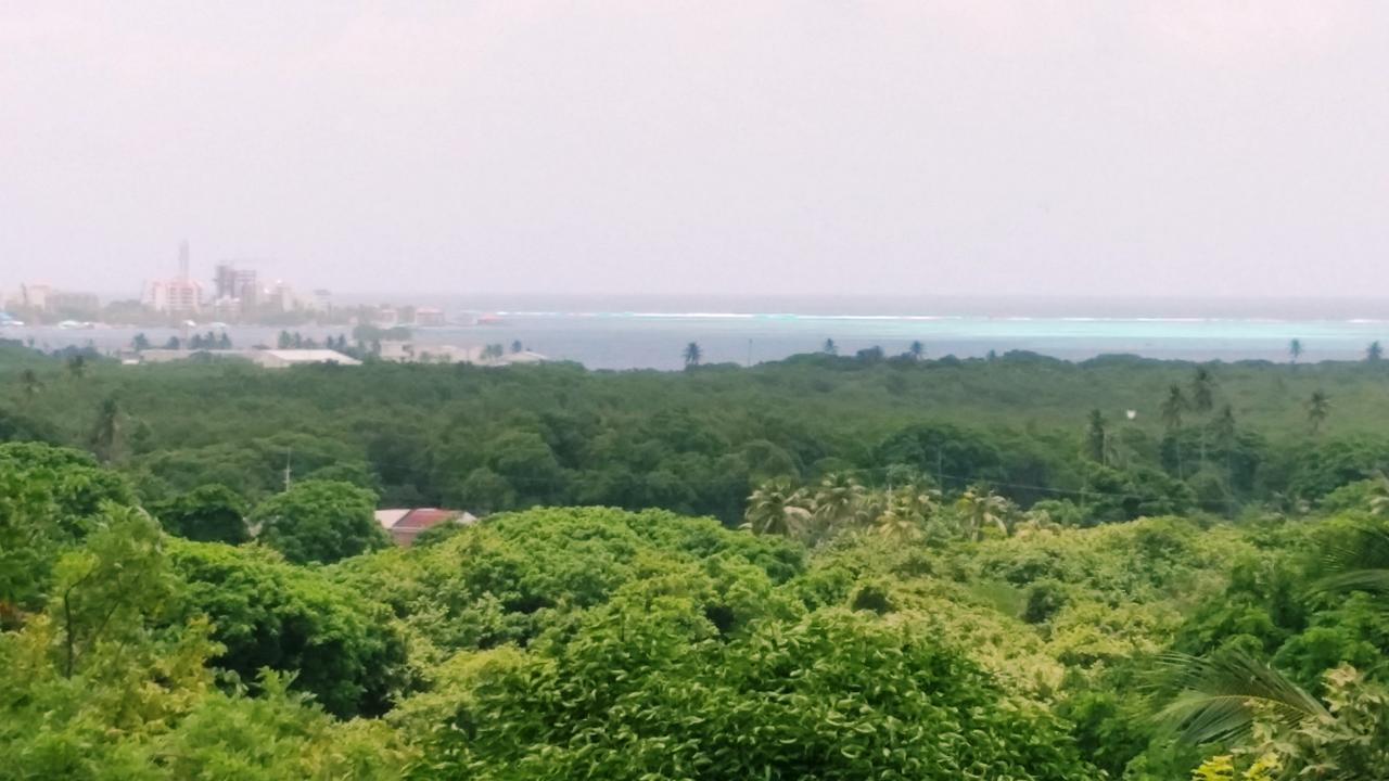Orange Hill House Pensión San Andrés