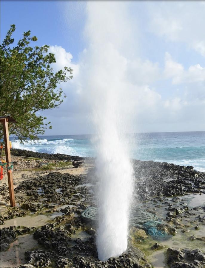 Amiel Forbes 2 Inn San Andrés
