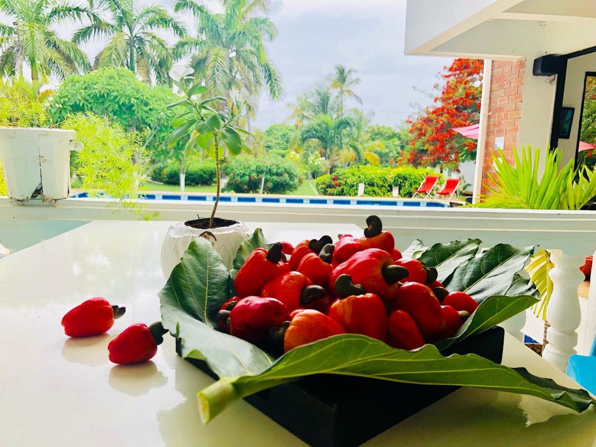 Hotel Casa De Flores Tropical