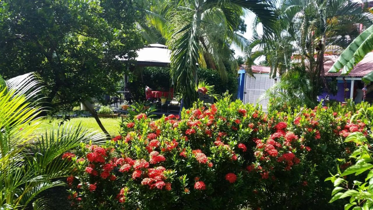 Inn Nativa Licy San Andrés