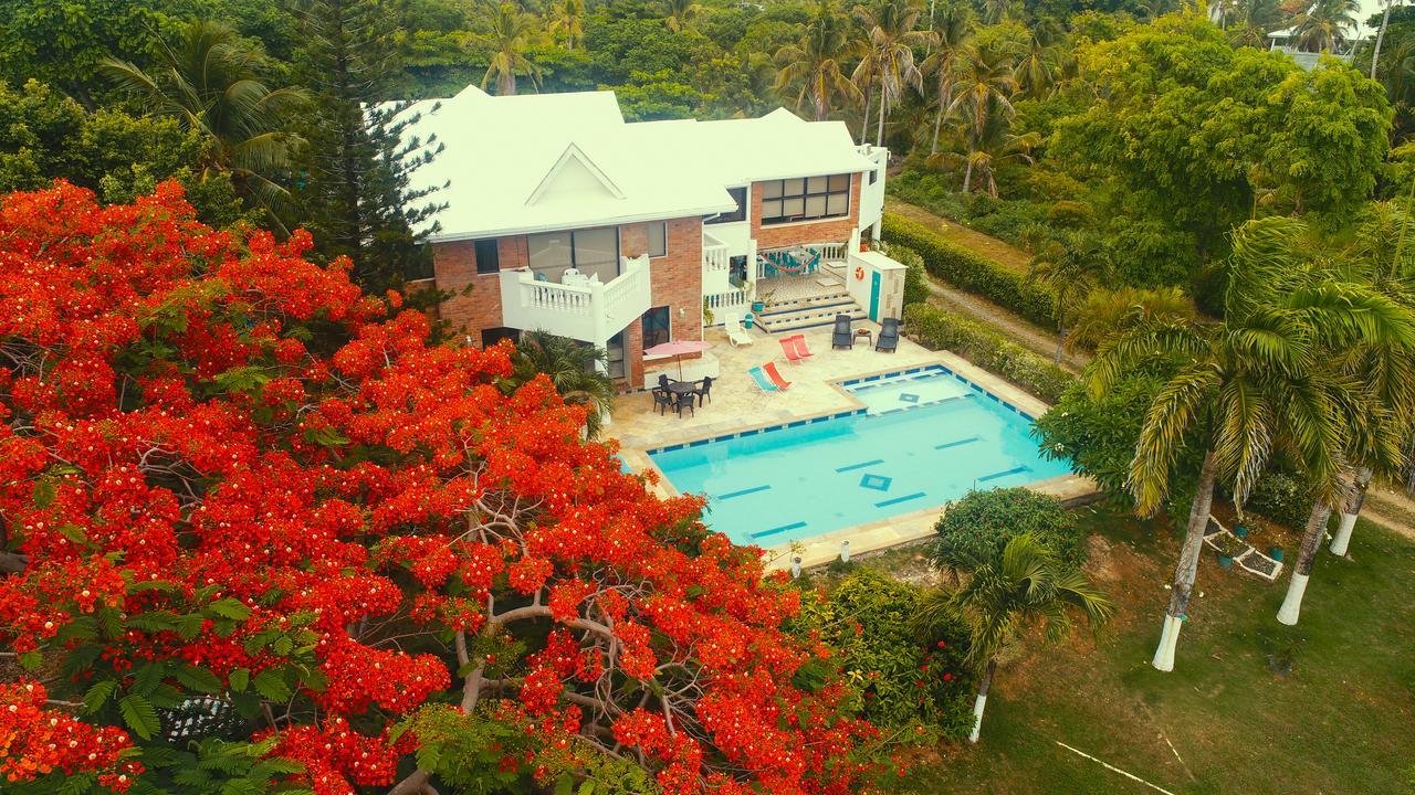 Casa De Flores Tropical San Andrés
