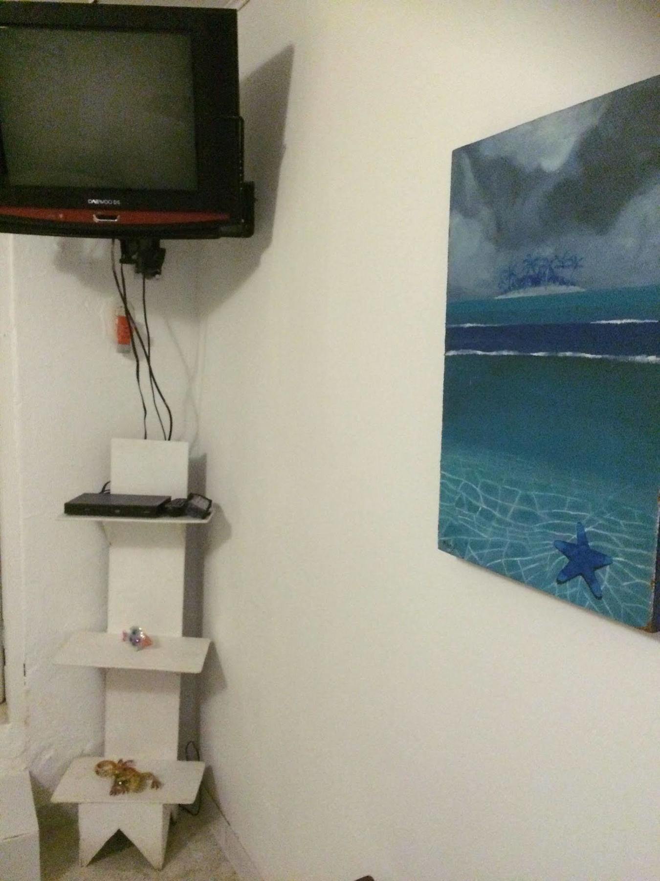Hostal Nativa Lizard House *