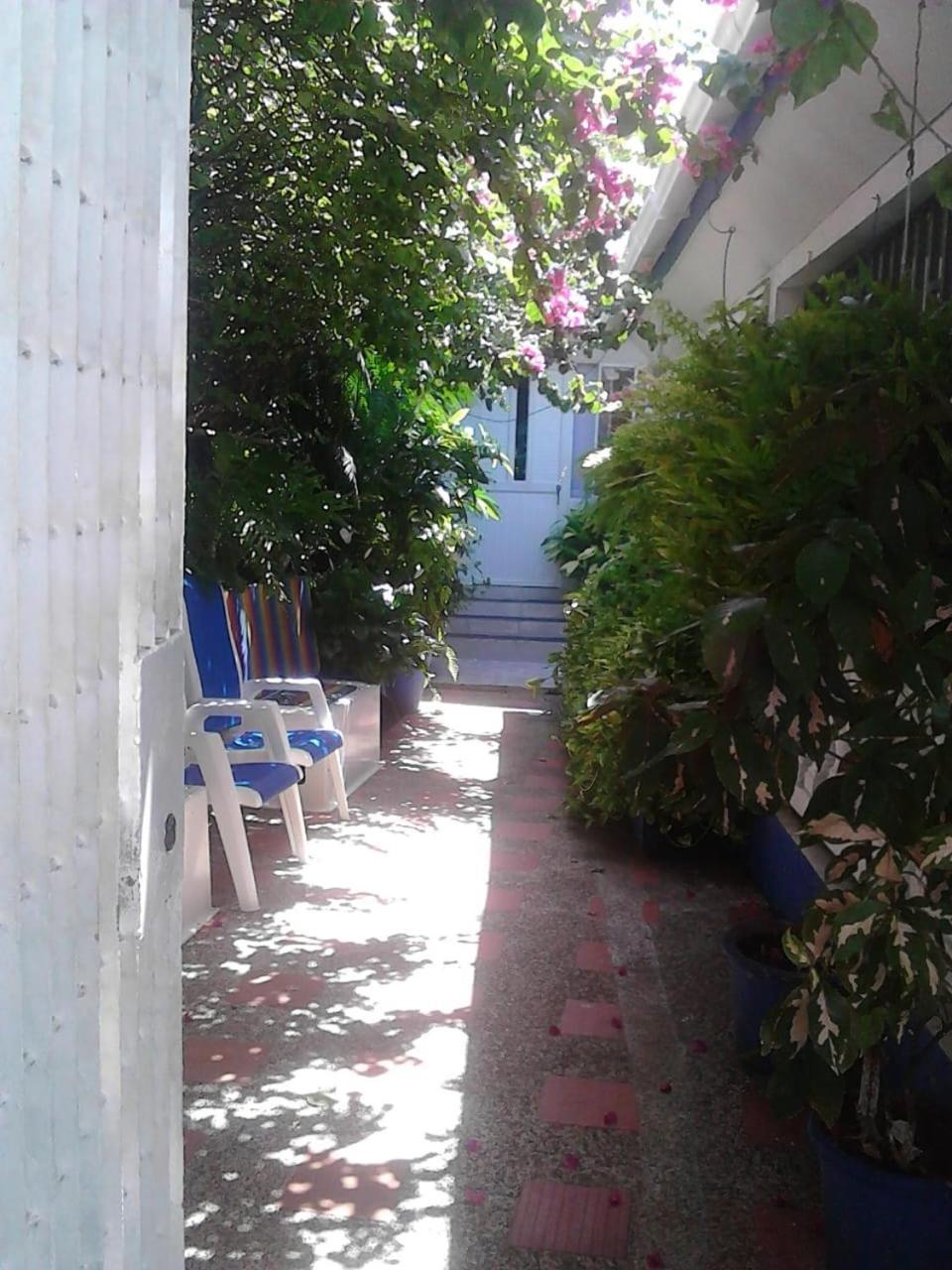 Vianova's Place Nativa Inn *