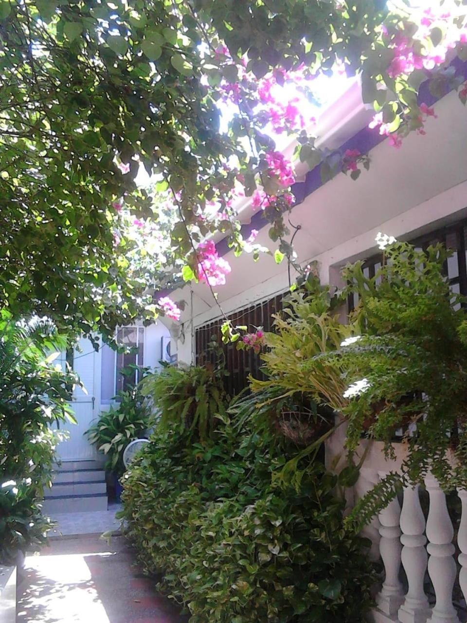 Vianova's Place Nativa Inn *