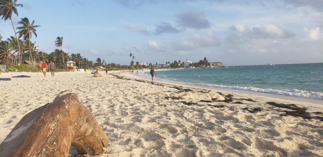 Torices San Andrés