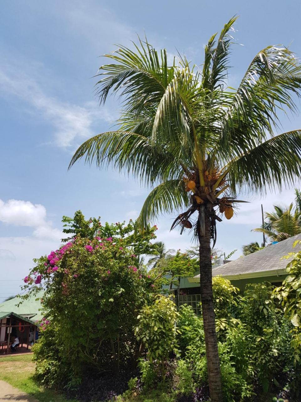 Hotel Playa Tranquilo And Dive Shop 2*
