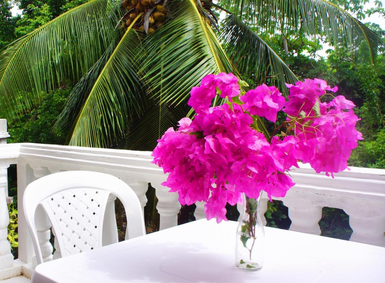 Casa De Flores Tropical Hotel San Andrés