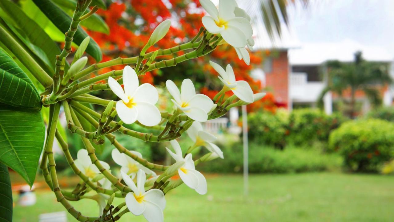 Casa De Flores Tropical 4* San Andrés
