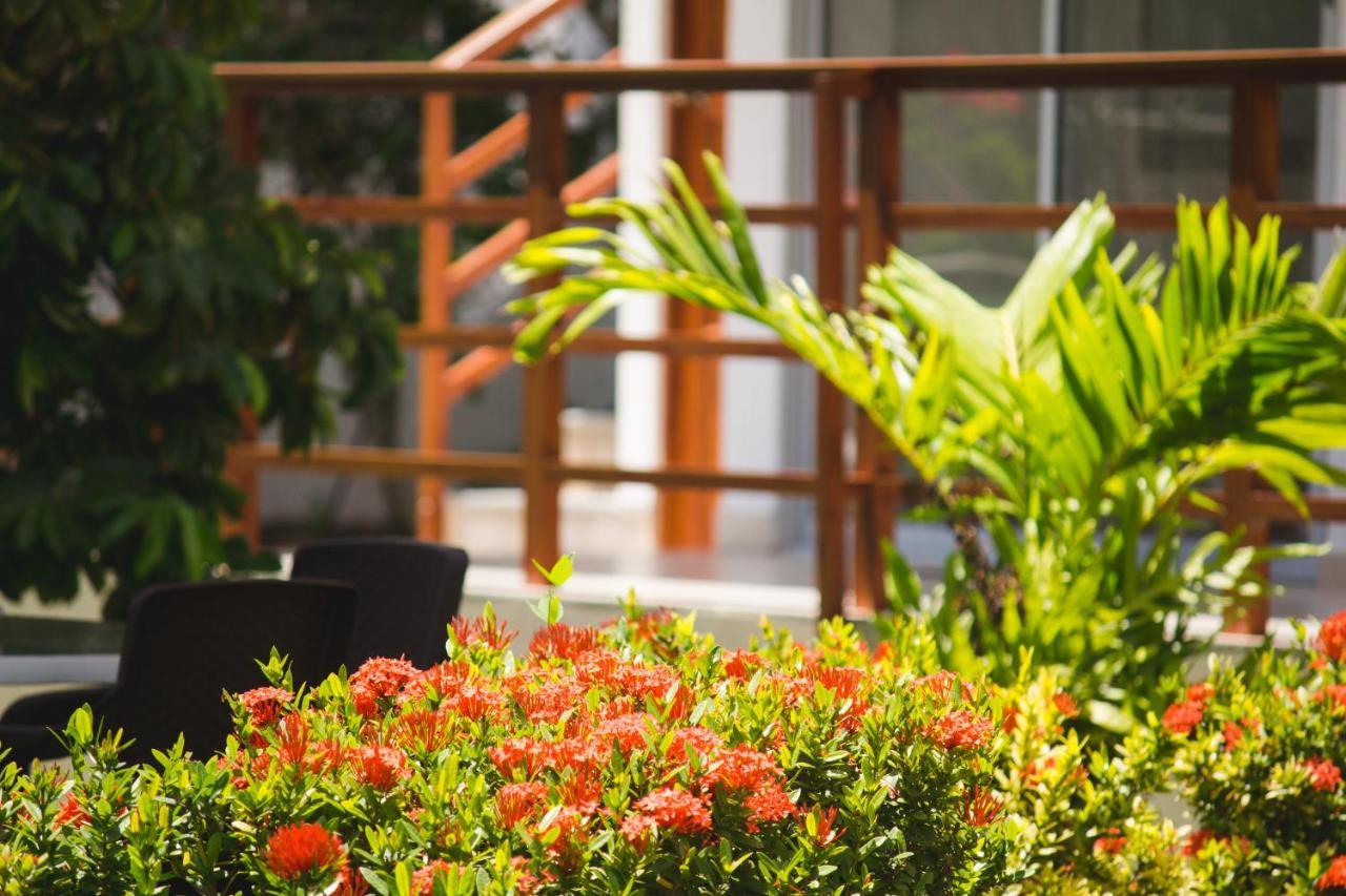 Inn Yard San Andrés