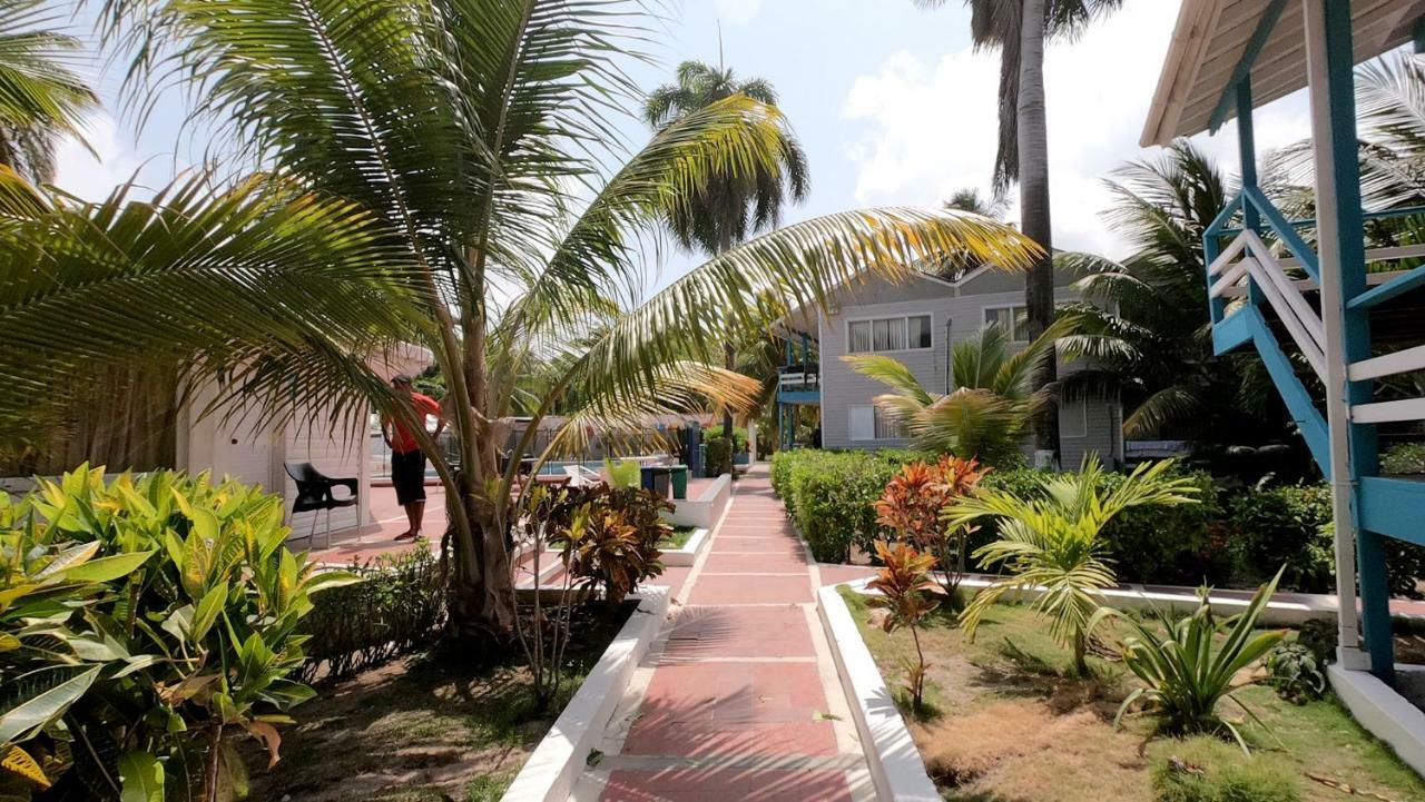 On Vacation Sea Horse 3*