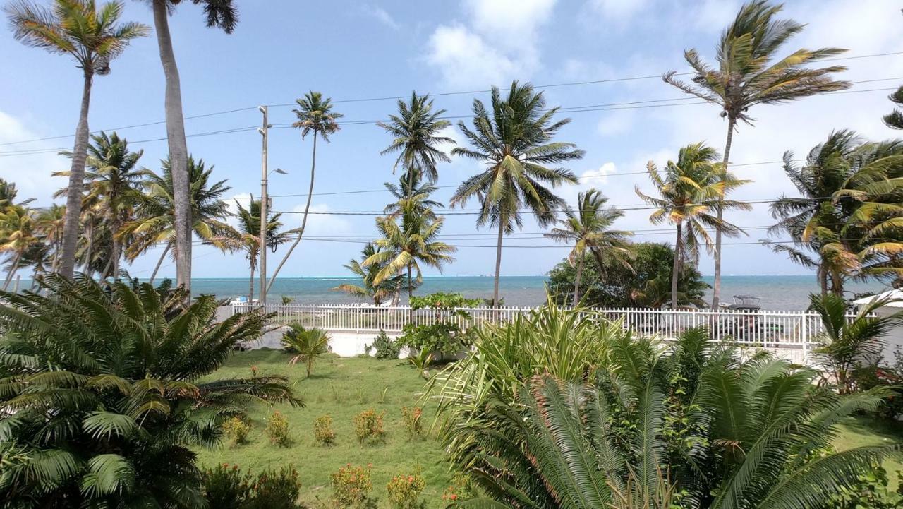 On Vacation Sea Horse Hotel 3*
