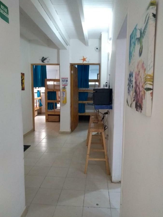 Palo Alto Hostal *