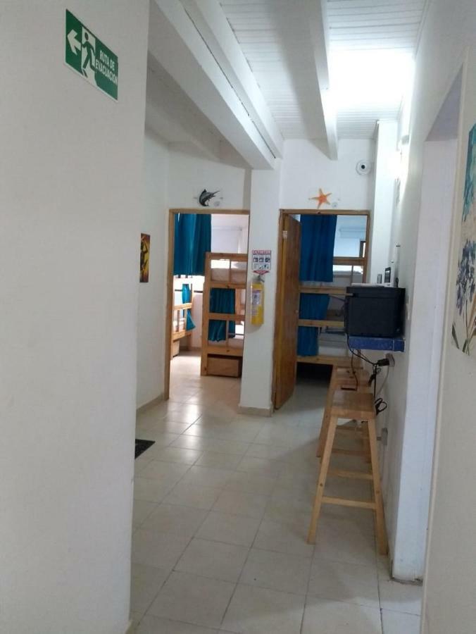 Palo Alto Hostal *