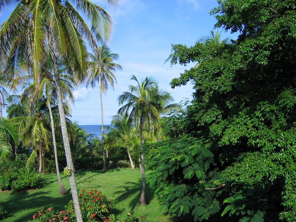 Hotel Casa De Flores Tropical 4*