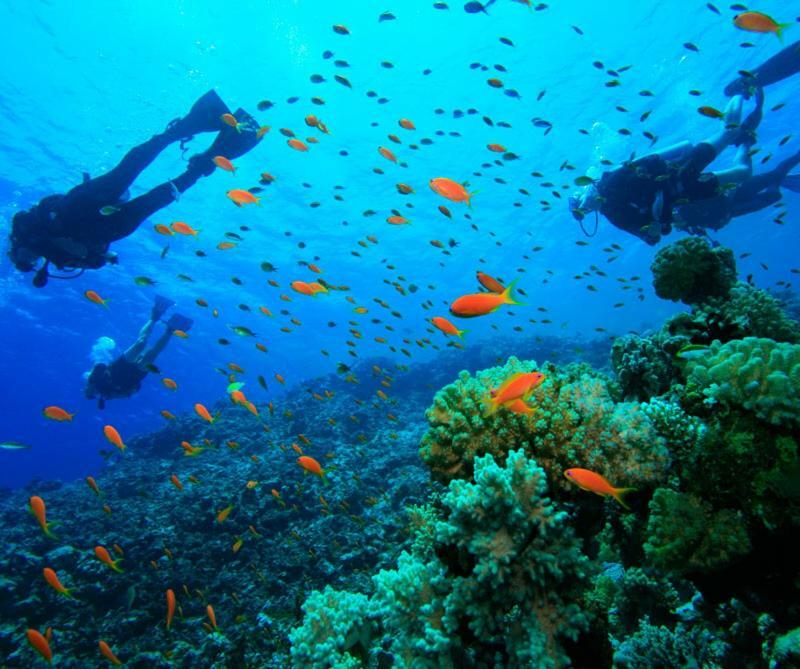 Sea House Bight San Andrés