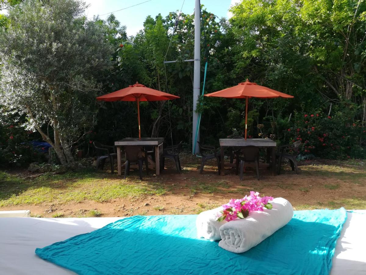 Casa Royal Palm 4*