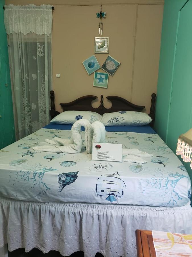 Hostel Nativa Trinsan Centro