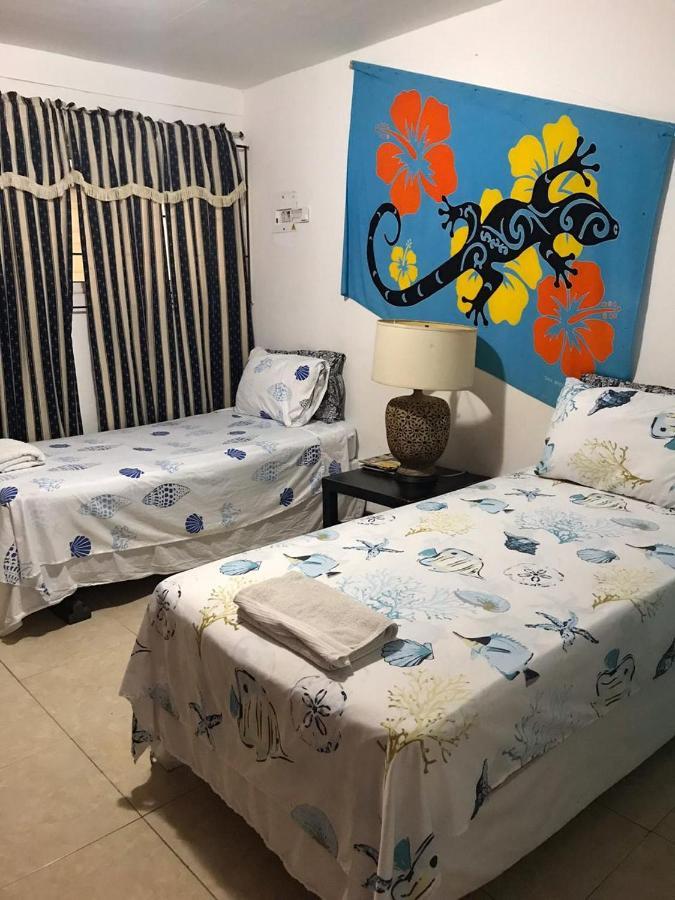 Nativa Trinsan Centro Hostel *